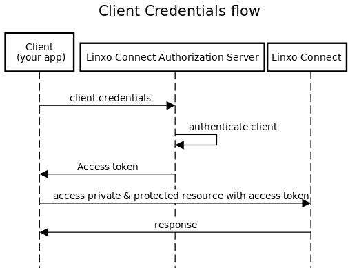 OAuth2 client credentials flow schema